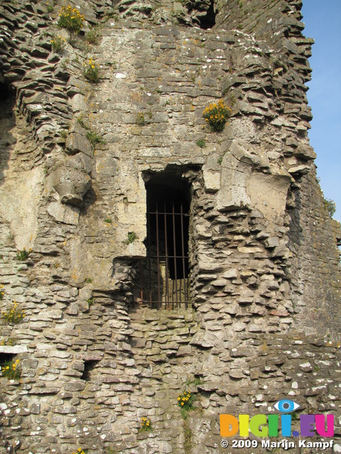 SX05486 Old doorway and yellow wallflowers growing on castle wall